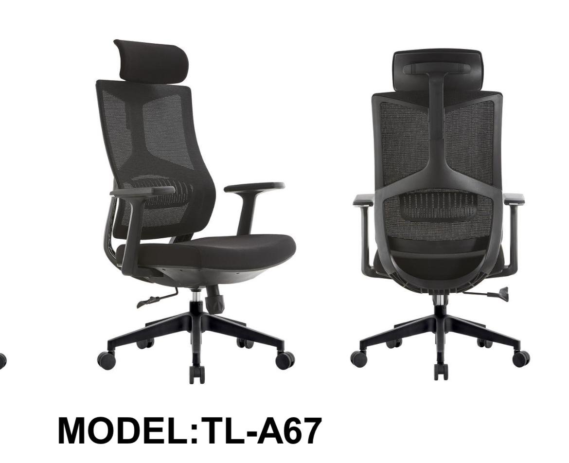 Ergonomic Chair